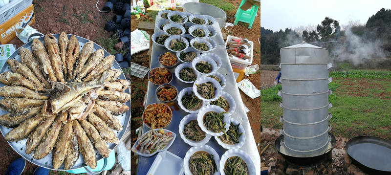 js1996(Öйú)ÓÐÏÞ¹«Ë¾